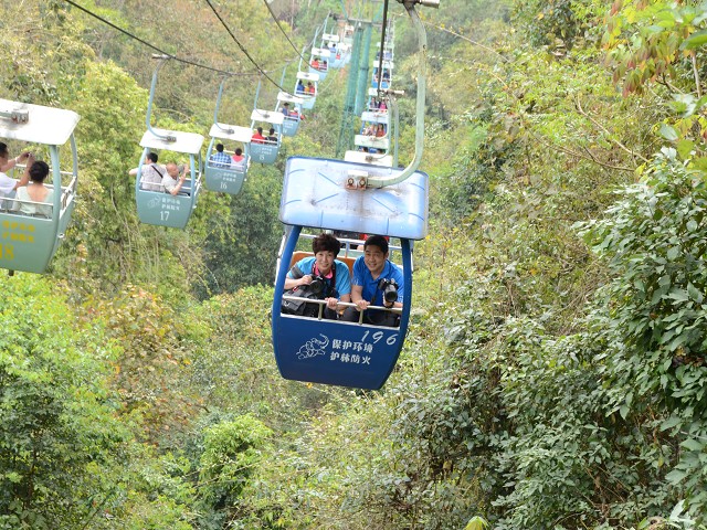 PhotoCap_006.jpg