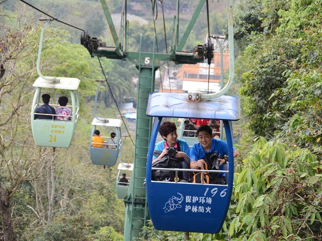 PhotoCap_011.jpg