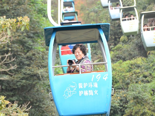 PhotoCap_007.jpg