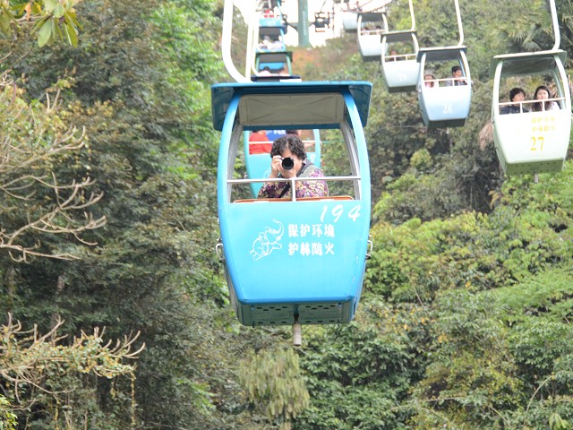 PhotoCap_010.jpg