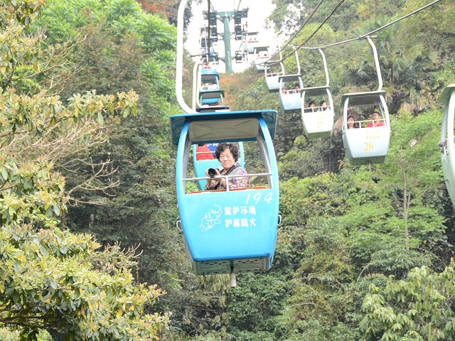 PhotoCap_008.jpg
