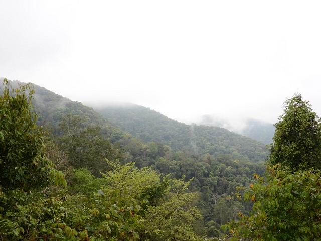 PhotoCap_016.jpg