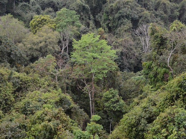 PhotoCap_021.jpg