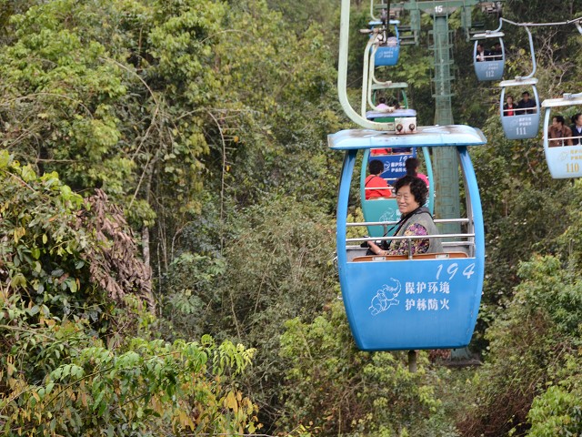 PhotoCap_022.jpg