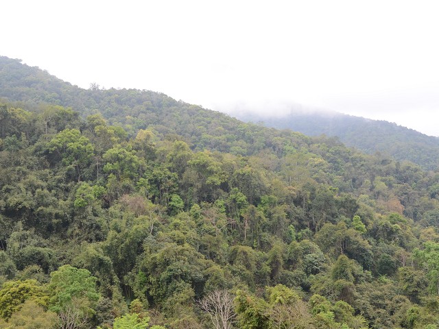 PhotoCap_020.jpg