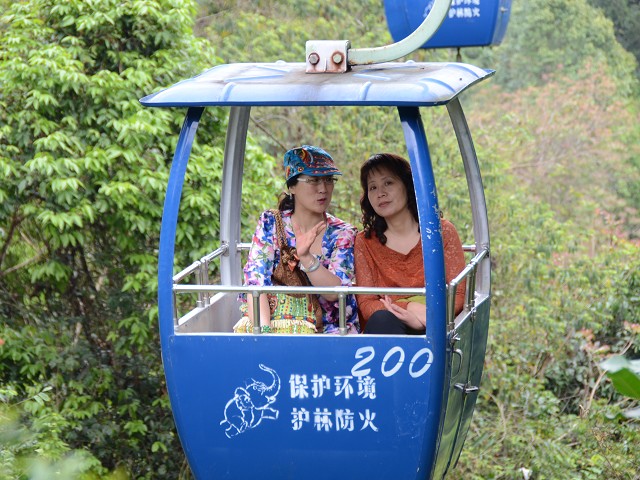 PhotoCap_025.jpg