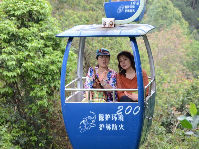 PhotoCap_024.jpg