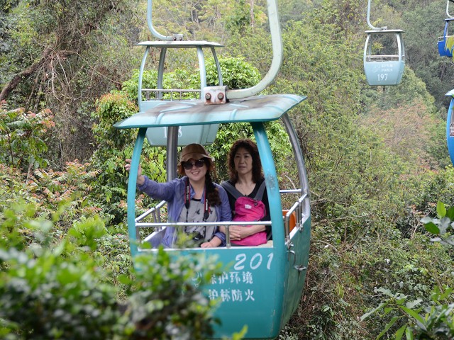 PhotoCap_031.jpg