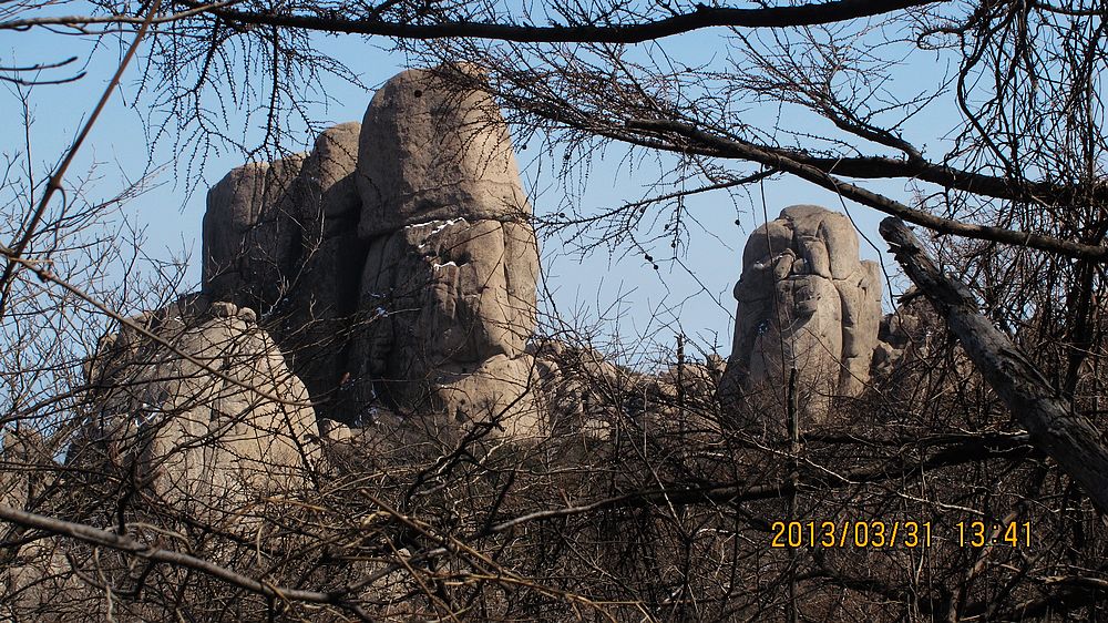 IMG_4154.jpg