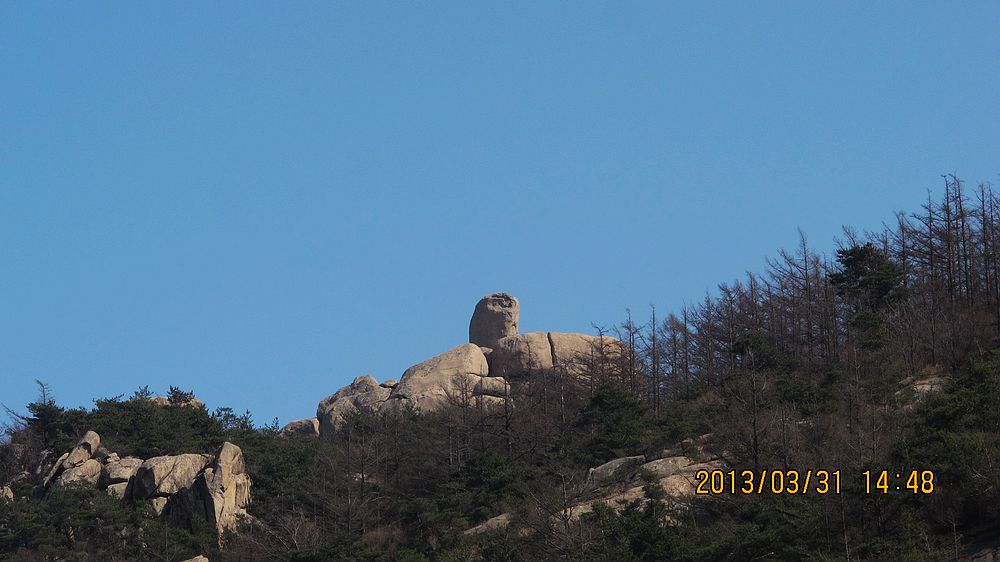 IMG_4180.jpg