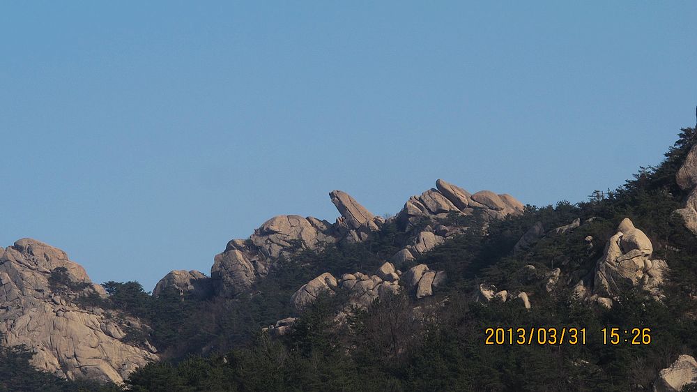 IMG_4198.jpg