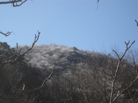 复件 IMG_1273.jpg
