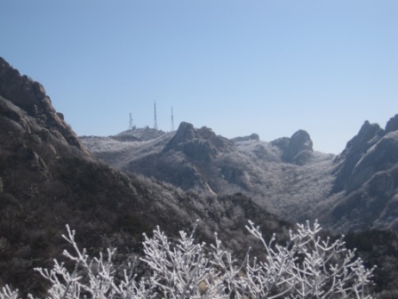 复件 IMG_1296.jpg