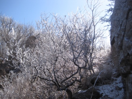 复件 IMG_1316.jpg