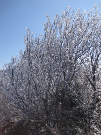 复件 IMG_1324.jpg
