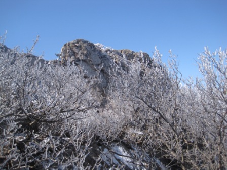 复件 IMG_1328.jpg