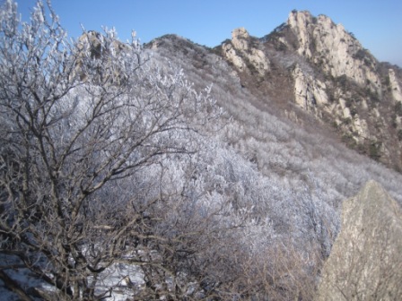 复件 IMG_1327.jpg