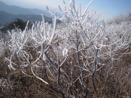 复件 IMG_1334.jpg