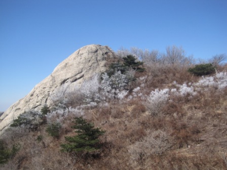 复件 IMG_1341.jpg