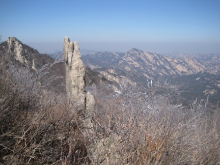 复件 IMG_1345.jpg