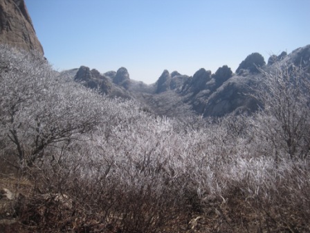 复件 IMG_1348.jpg