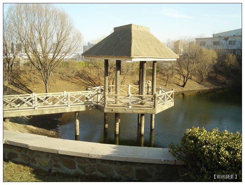 nEO_IMG_DSC00118.jpg