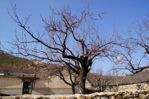 DSC08094.JPG