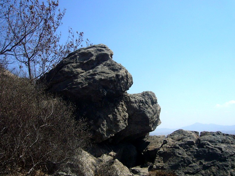 P1220757_缩小大小.JPG