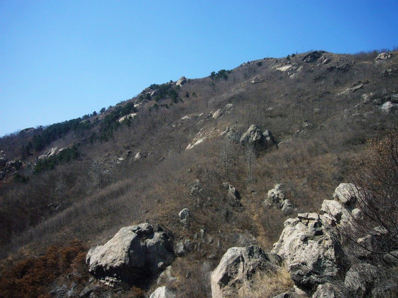 P1220755_缩小大小.JPG