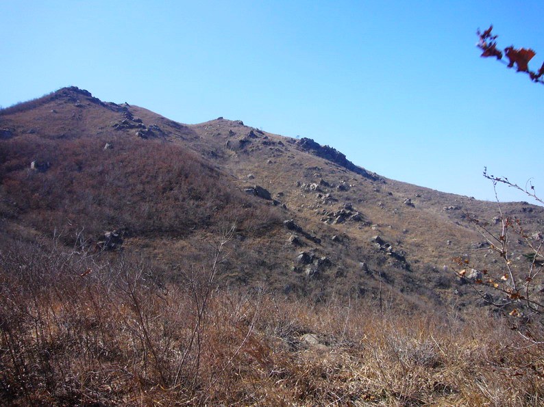P1220777_缩小大小.JPG