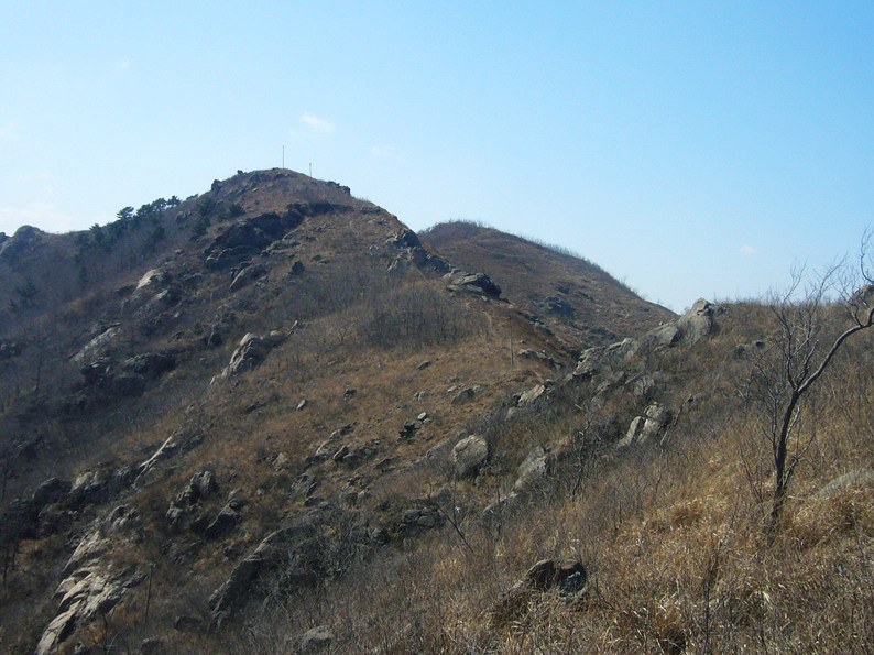 P1220766_缩小大小.JPG