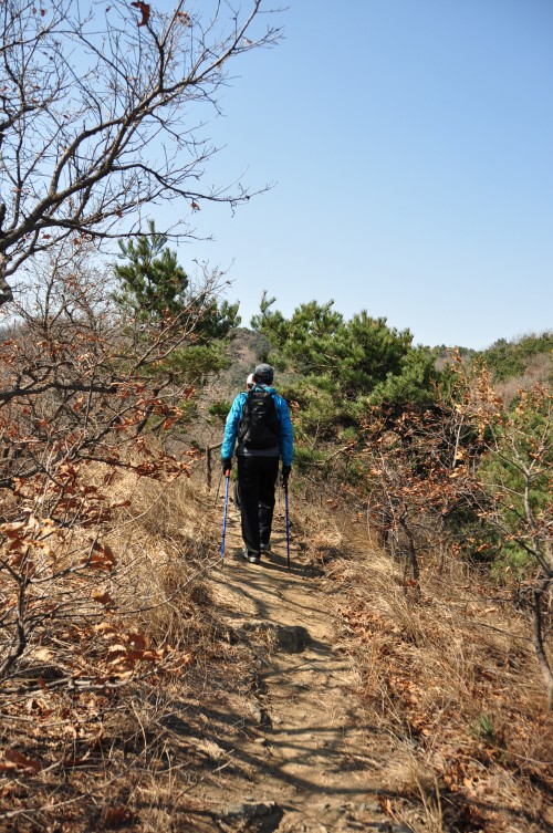 dsc_0222_conew1.jpg