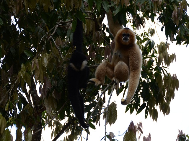 PhotoCap_034.jpg