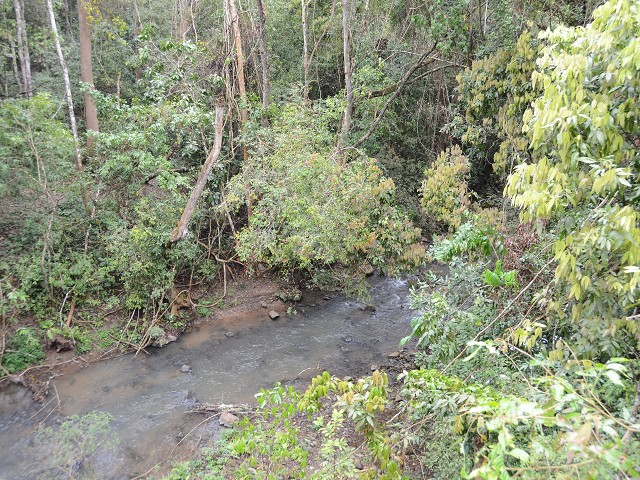 PhotoCap_053.jpg