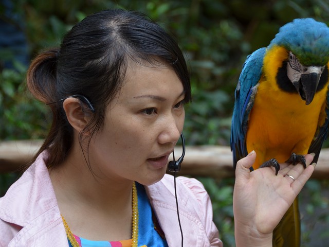 PhotoCap_081.jpg