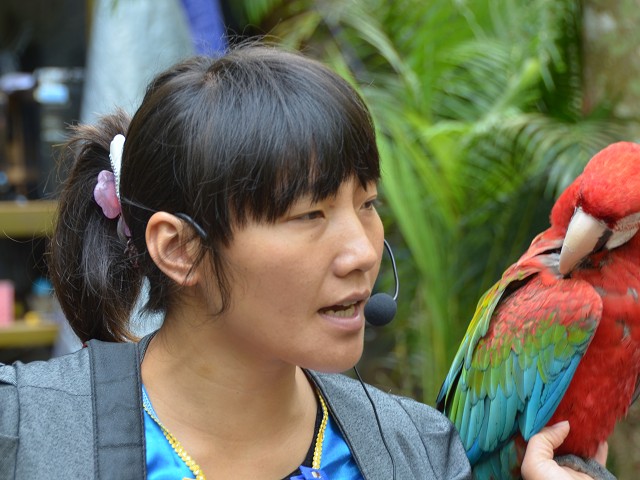 PhotoCap_084.jpg