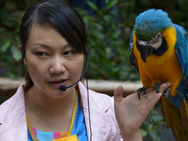 PhotoCap_082.jpg