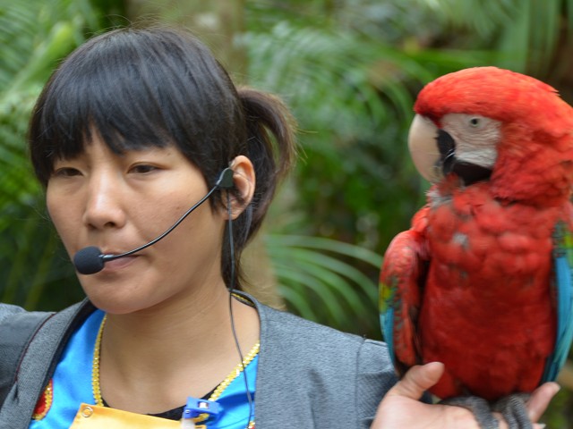 PhotoCap_083.jpg