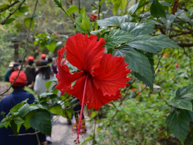 PhotoCap_091.jpg