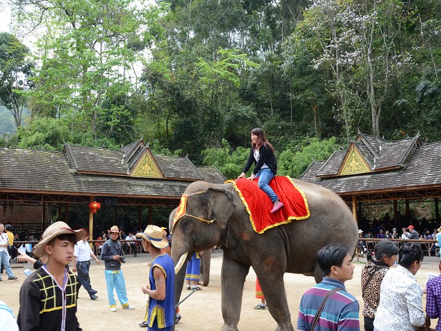 PhotoCap_105.jpg