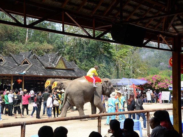 PhotoCap_119.jpg
