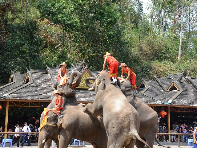 PhotoCap_132.jpg