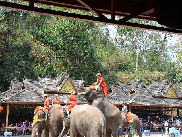 PhotoCap_131.jpg