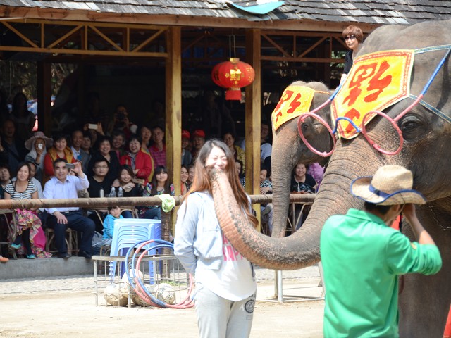 PhotoCap_146.jpg
