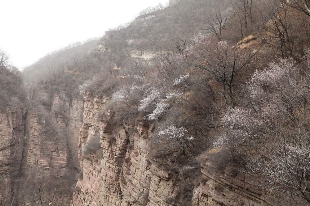 苍岩山，嶂石岩 647.jpg