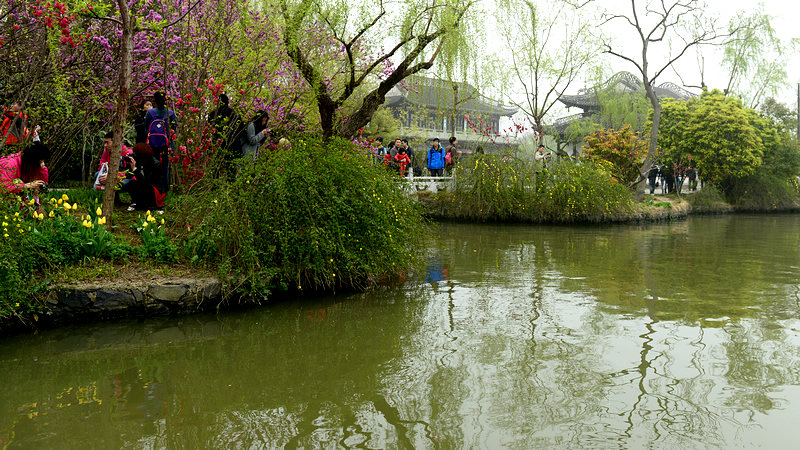 DSC_9616.jpg