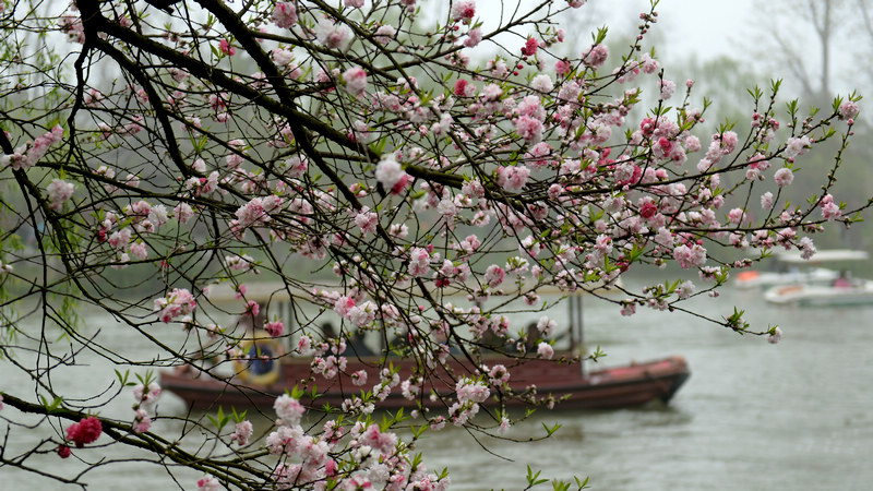 DSC_9641.jpg