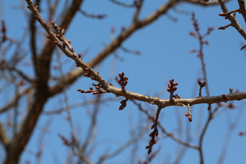 744A6746.JPG