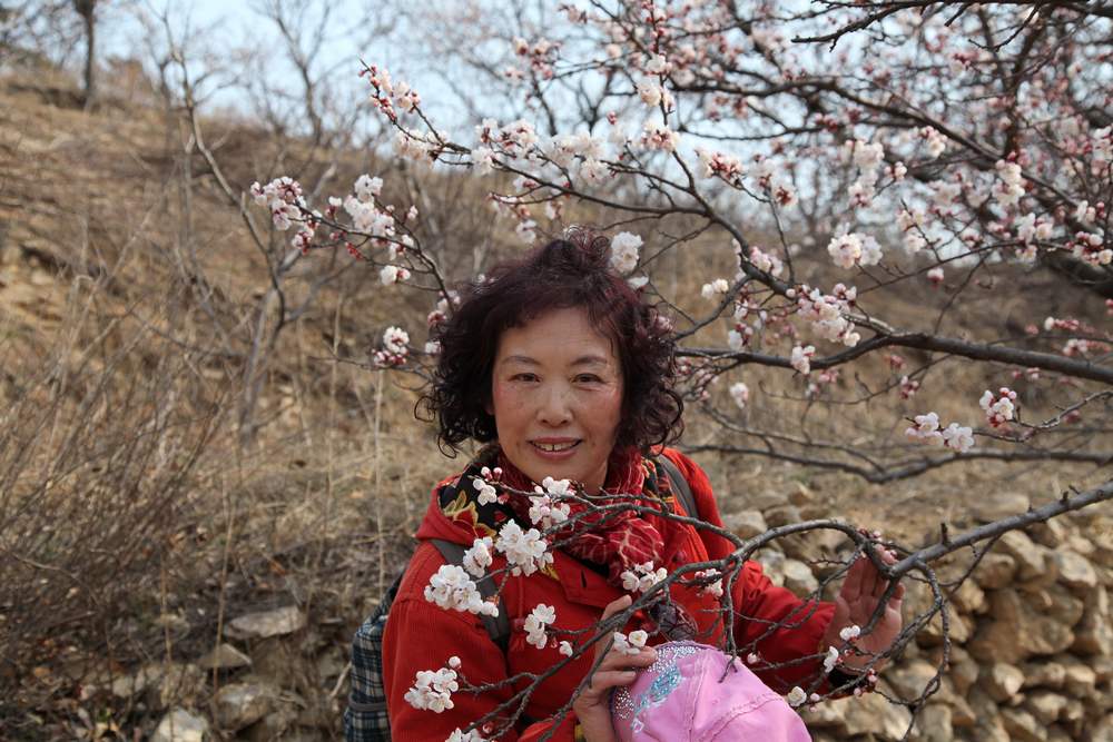里口山杏花 061.jpg
