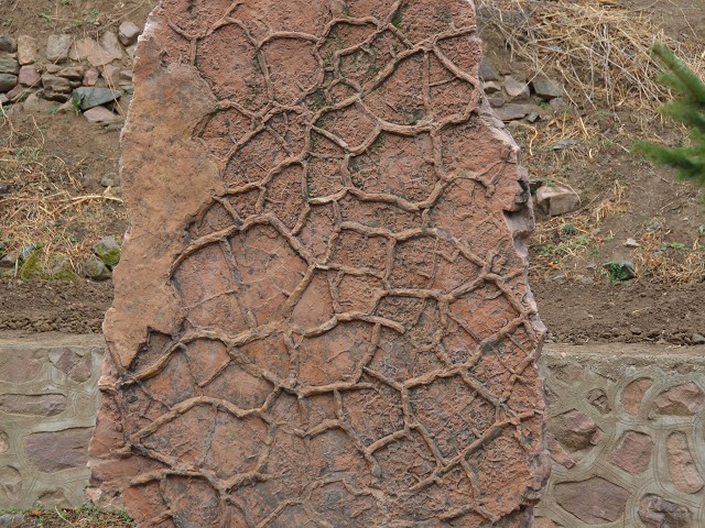 PhotoCap_083.jpg